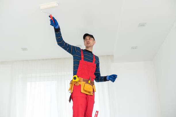 Best Basement Mold Removal  in Greensburg, PA